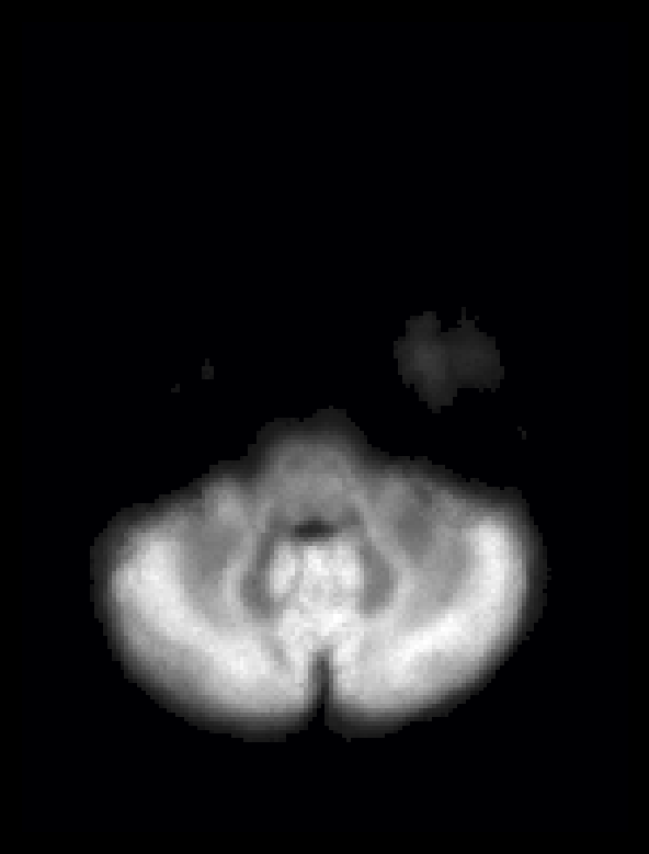 ../_images/NuFO_gwm.gif